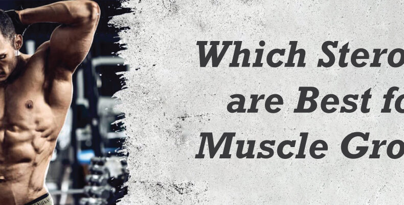 Which steroids are best for muscle Growth?