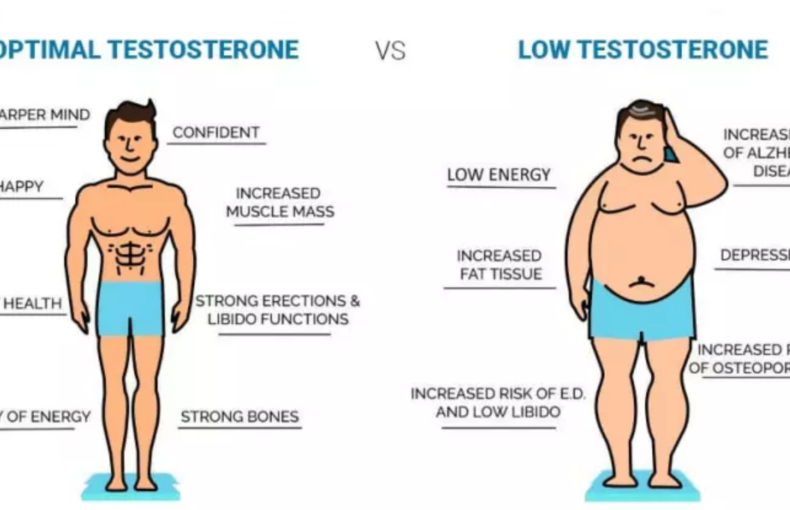 High v low testosterone
